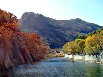 新澳天天开奖资料大全旅游团，大主宰狂想曲